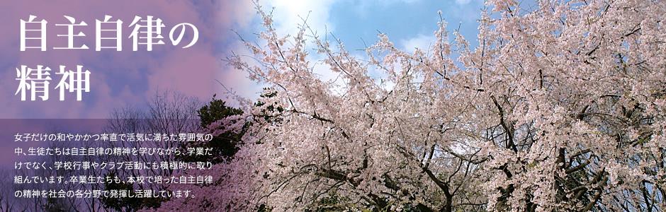 新游游戏厅官网网页版登录